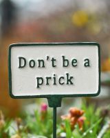 Witty Cast Iron Plant Pot Spike “Don’t Be a Prick” close up image