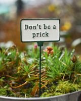 Witty Cast Iron Plant Pot Spike “Don’t Be a Prick” main image