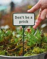 Witty Cast Iron Plant Pot Spike “Don’t Be a Prick” to scale with hand for reference