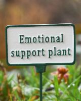 Witty Cast Iron Plant Pot Spike “Emotional Support Plant” close up image