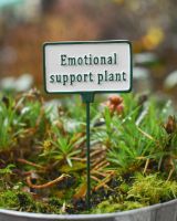Witty Cast Iron Plant Pot Spike “Emotional Support Plant” main image