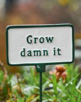Witty Cast Iron Plant Pot Spike “Grow Damn it” close up