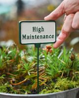 Witty Cast Iron Plant Pot Spike “High Maintenance” to scale with hand for reference