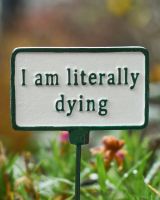 Witty Cast Iron Plant Pot Spike “I’m Literally Dying” close up