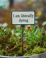 Witty Cast Iron Plant Pot Spike “I’m Literally Dying” main image