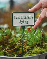 Witty Cast Iron Plant Pot Spike “I’m Literally Dying” to scale with hand for reference