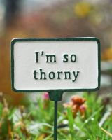 Witty Cast Iron Plant Pot Spike “I’m so Thorny” close up image