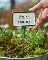 Witty Cast Iron Plant Pot Spike “I’m so Thorny” to scale with hand for reference