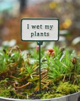 Witty Cast Iron Plant Pot Spike “I wet my Plants” main image