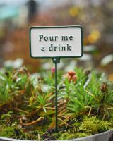 Witty Cast Iron Plant Pot Spike “Pour me a Drink” main image