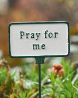 Witty Cast Iron Plant Pot Spike “Pray for Me” Close up
