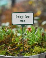 Witty Cast Iron Plant Pot Spike “Pray for Me” main image