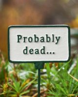 Witty Cast Iron Plant Pot Spike “Probably Dead” close up