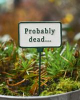 Witty Cast Iron Plant Pot Spike “Probably Dead”main image