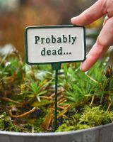 Witty Cast Iron Plant Pot Spike “Probably Dead” to scale with hand for reference