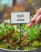 Witty Cast Iron Plant Pot Spike “Still Alive” close up to scale with hand for reference