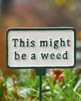 Witty Cast Iron Plant Pot Spike “This Might be a Weed” close up