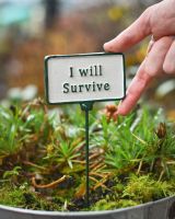 Witty plant pot spike I will survive to scale