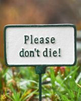 Witty plant pot spike Please dont die close up