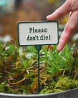 Witty plant pot spike Please dont die to scale