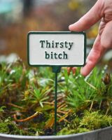 Witty plant pot spike Thirsty Bitch to scale