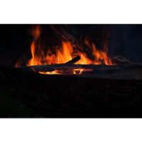 Traditional Kadai Bowl in Use in the Garden Traditional Kadai Bowl in Use in the Garden
