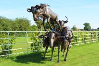 "Buckenall" Sculpture of Leaping Whitetail Wildebeests