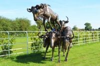 "Buckenall" Sculpture of Leaping Whitetail Wildebeests