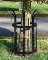 Small Wrought Iron Black Tree Guard