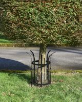 Wrought Iron "Beeston" Black Tree Guard