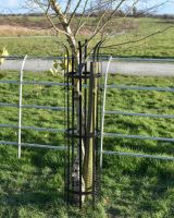 Wrought Iron "Sandridge" Black Tree Guard 