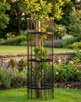 Wrought Iron Traditional "Fernhill" Black Tree Guard - Large digital illustration