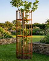 Wrought Iron Traditional "Fernhill" Rustic Tree Guard - Large digital illustration