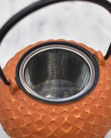 Close up of "Xinbei" Cast Iron Orange Japanese Style Teapot strainer Close up of "Xinbei" Cast Iron Orange Japanese Style Teapot strainer