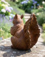 Digital illustration of Rustic Cast Iron "Nutty" Squirrel Miniature Garden Sculpture close up of tail