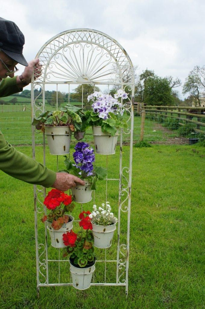 Wall mounted plant holder