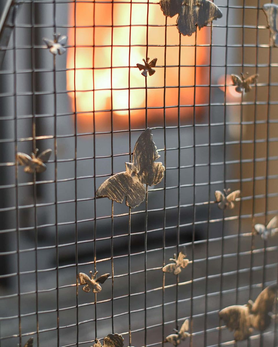 Close-Up of Butterfly Design