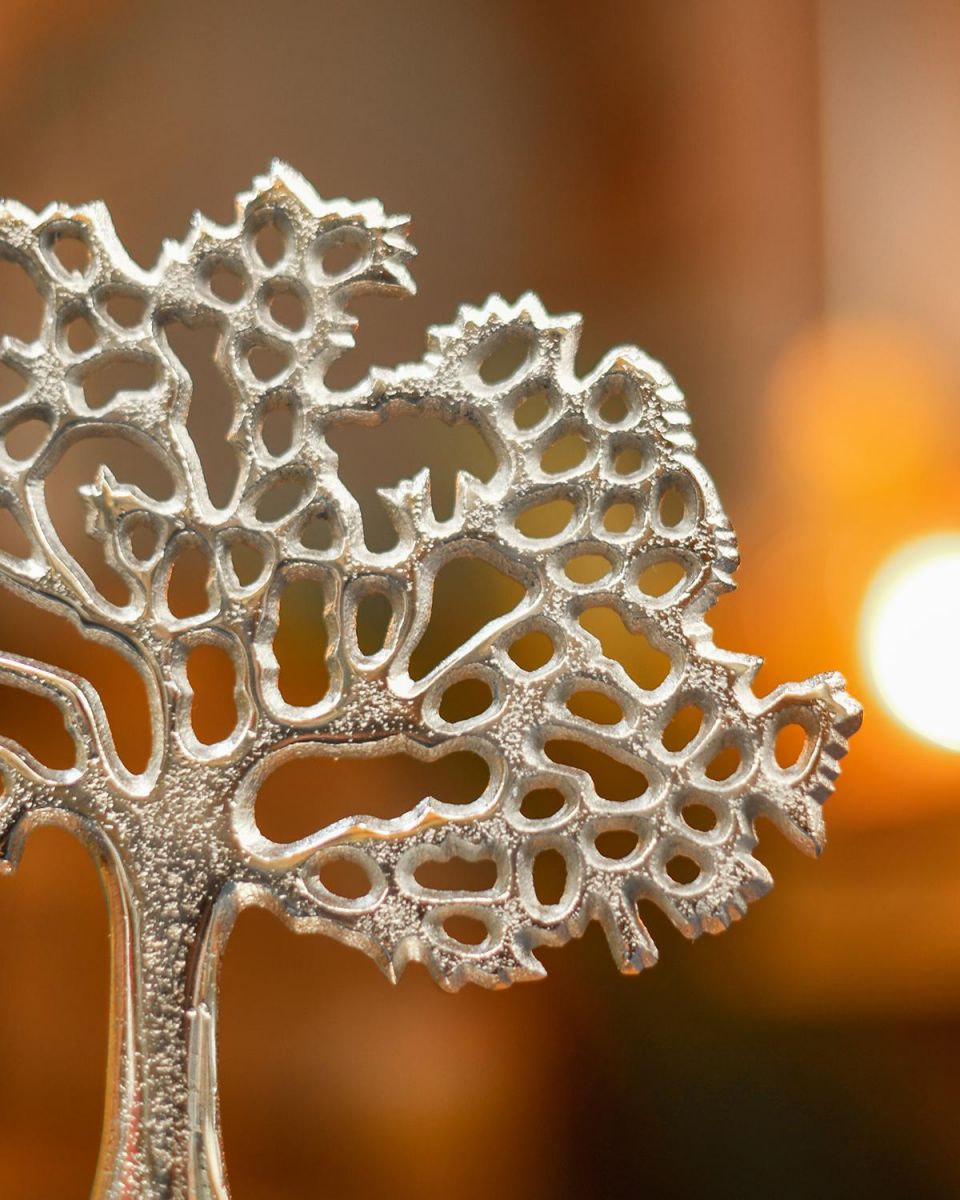 Detail on the Top of the Tree Ornament 