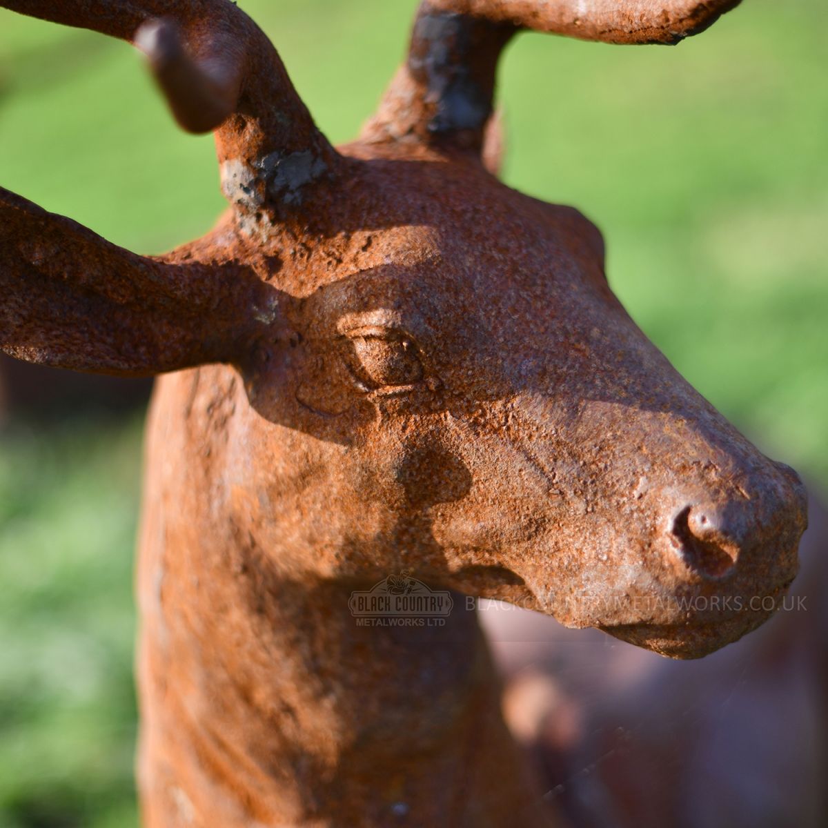 Close-up of the Laying Down Cast Iron Stag Sculpture