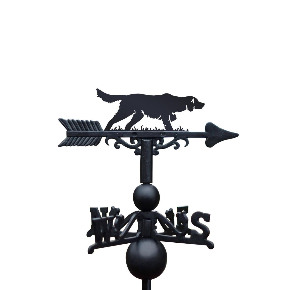  Irish setter weathervane in situ