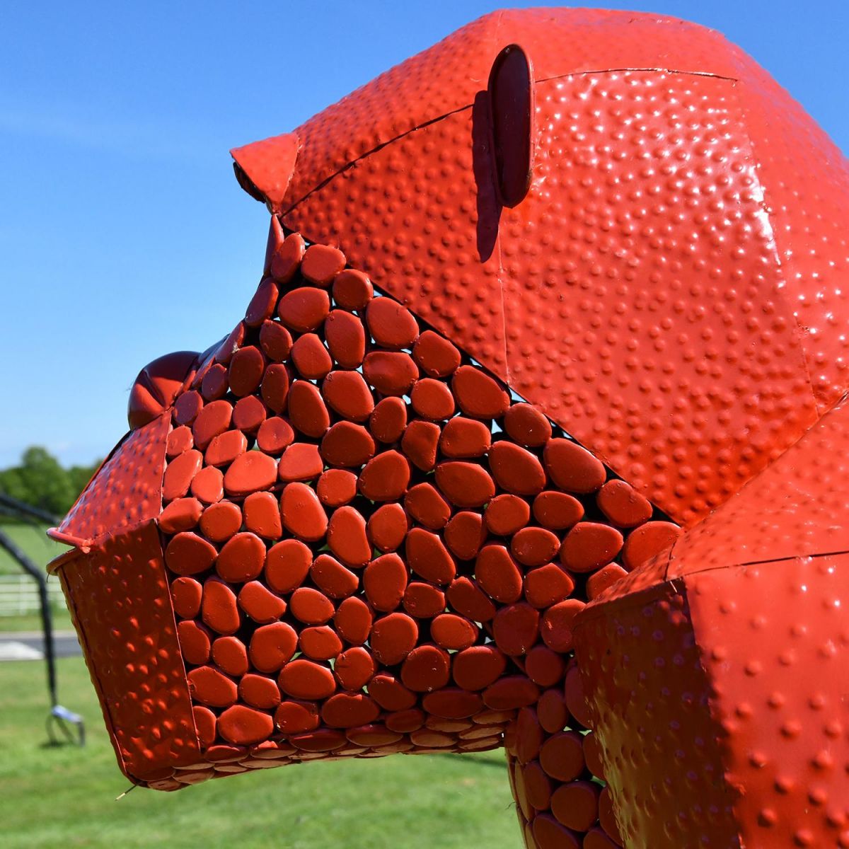 Close-up of the Side of the Face of the Gorilla