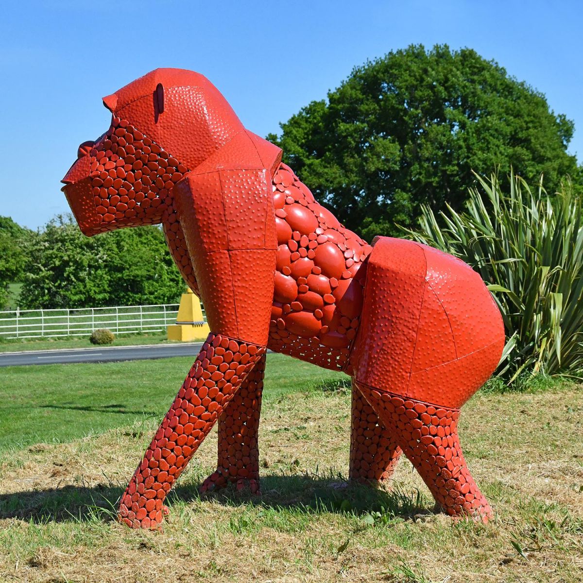 Side View of the “Lord Greystoke” Stunning Silverback Gorilla
