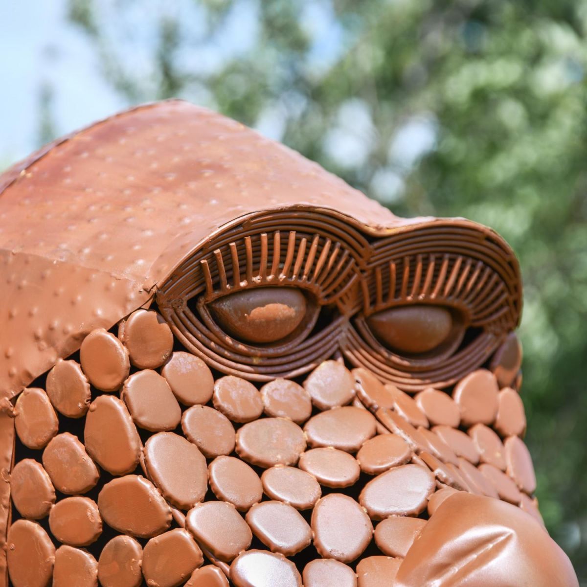 Close-Up of Facial Features