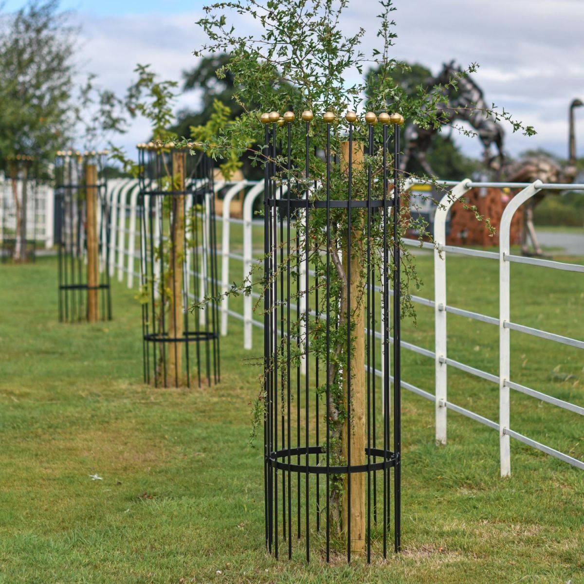 “Titan” Tree Guards - Gold in Three Sizes