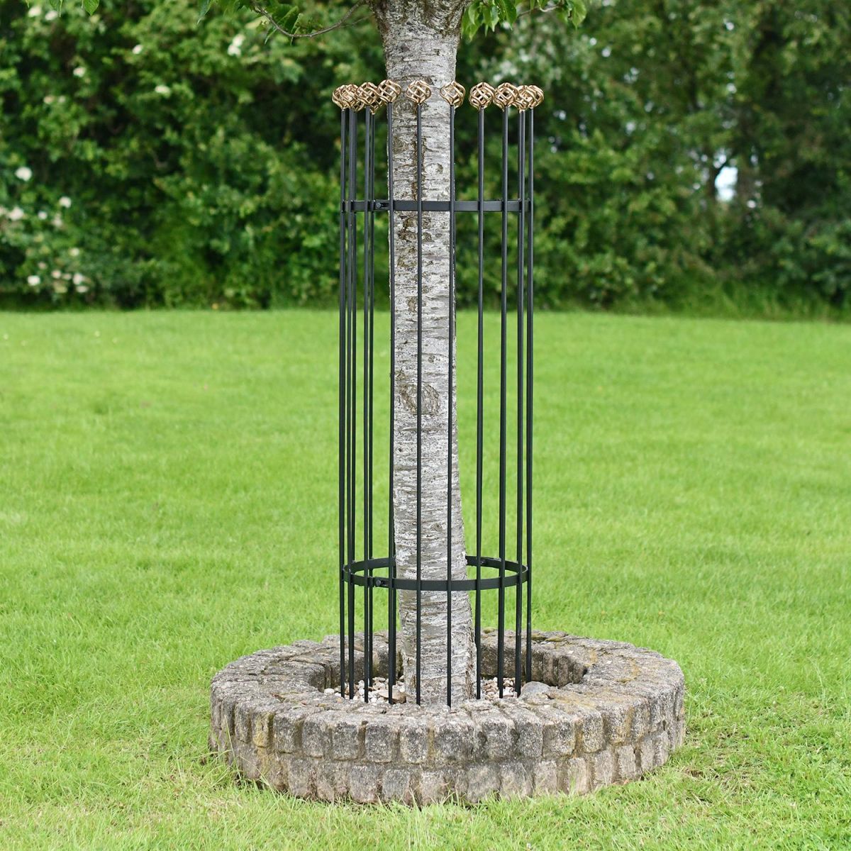 Achilles Black and Gold Heavy Duty Iron Tree Guard