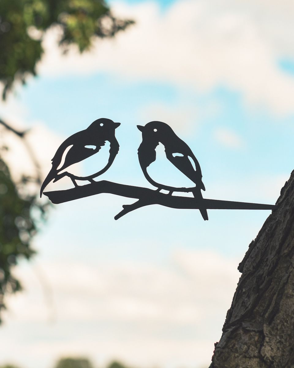In situ photo of Pair of Robins Steel Tree Spike - Black