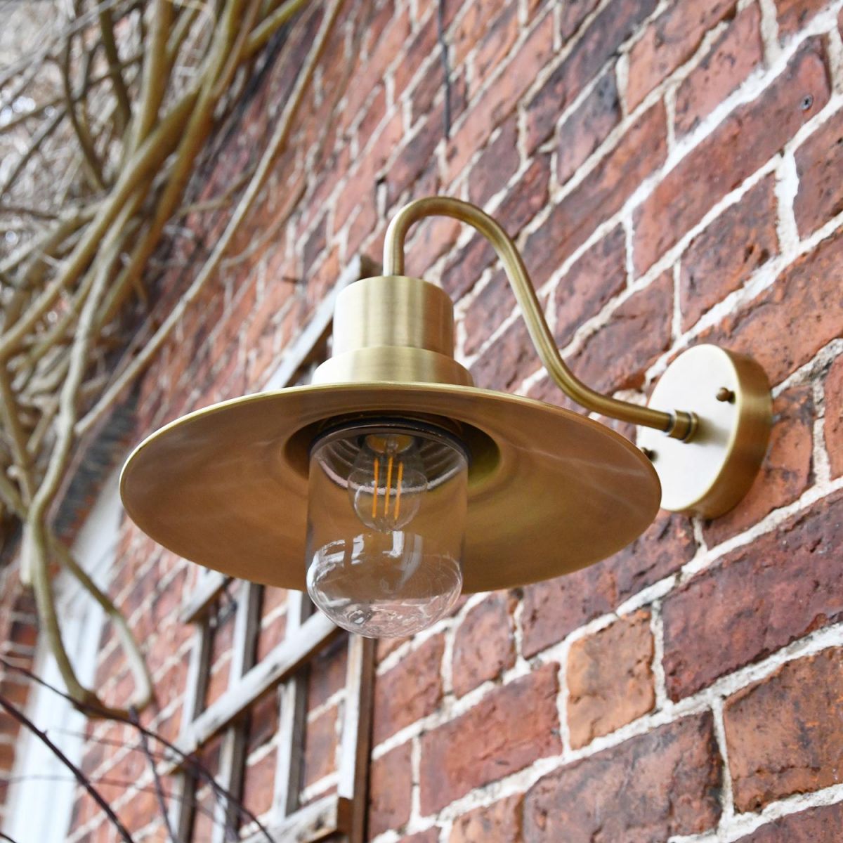 View of the Inside of the Wall Light