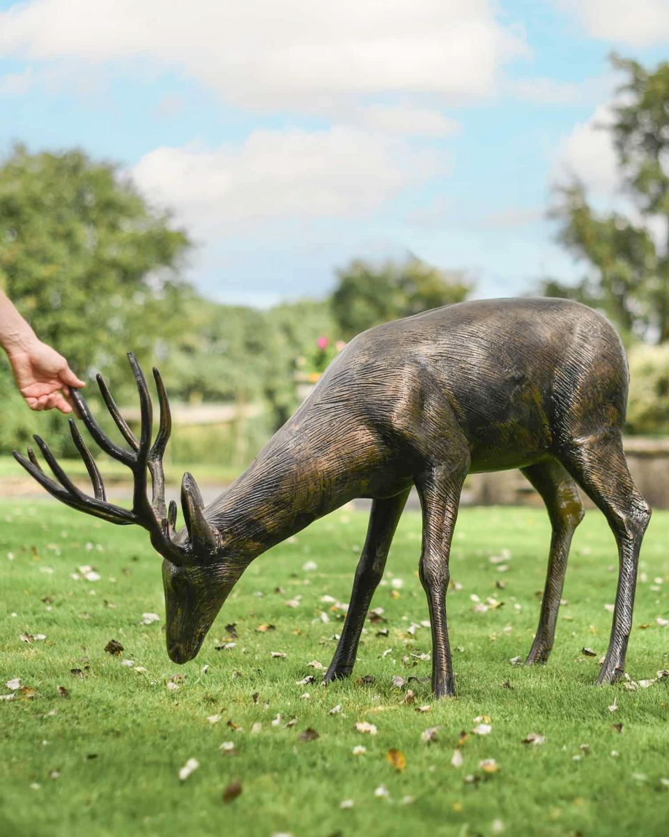 Scale Shot of Antique Bronze "Roe" Grazing Buck Sculpture 