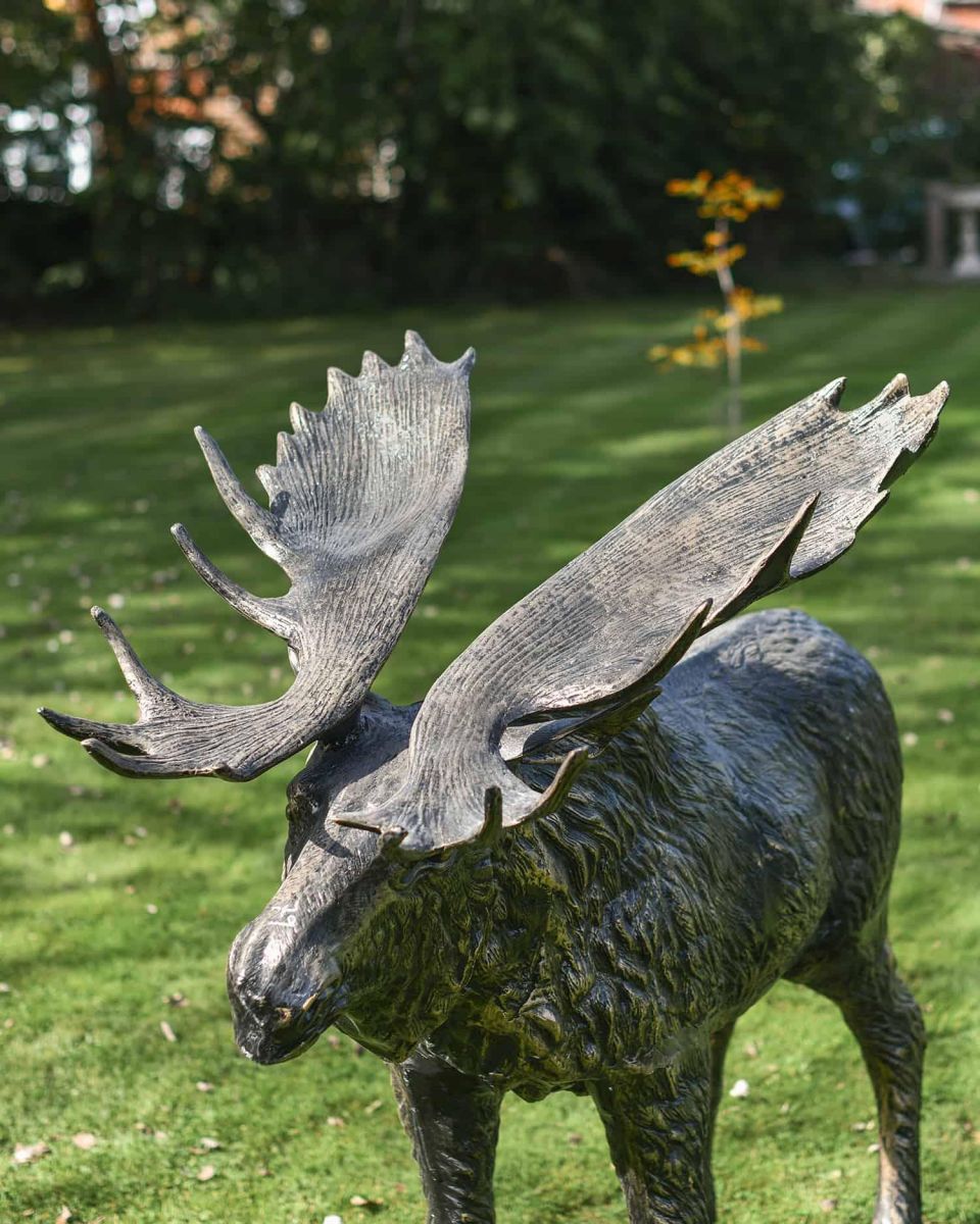 Close-Up of Antique Gold "Mickey Moose" Cast Aluminium Moose Garden Sculpture in Situ