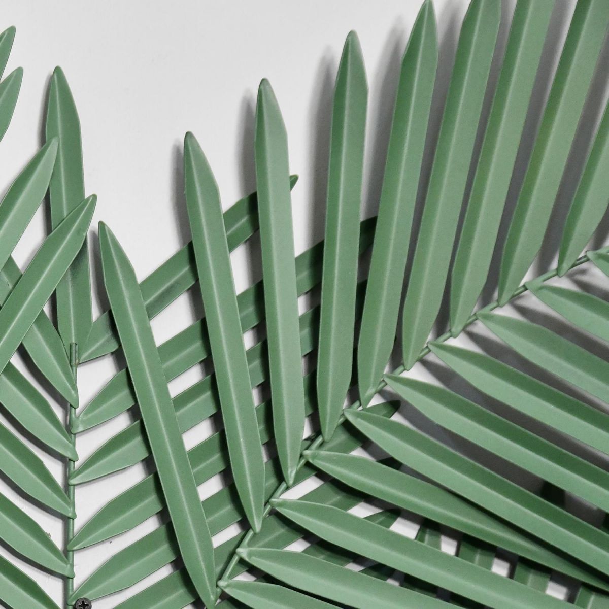 Close-up of the Detail on the Leaves